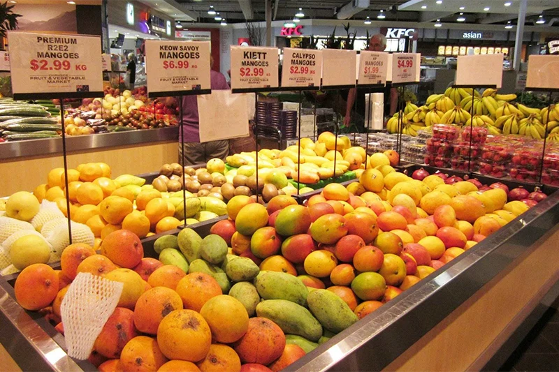 Export Specialized Carton